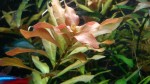 copy_22_IMG_20170420_0917431.jpg