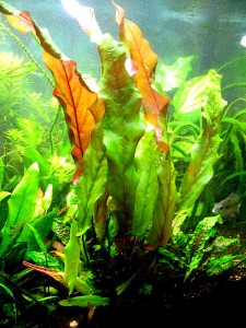copy_797_b2.jpg