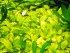 copy_941_copy_443_copy_596_copy_118_copy_584_copy_859_copy_76_copy_811_copy_447_copy_56_DSCN2825.jpg