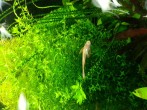 20170818_175546.jpg