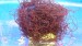 DSC04370.JPG