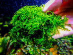 DSCF5572.jpg
