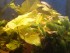 IMG_20170820_143756_469_2.jpg