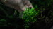copy_11_SAM_1510.jpg