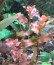 copy_620_copy_198_copy_425_12102015043-001.jpg
