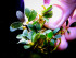 copy_651_Purple-rain_.jpg