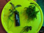 copy_713_IMG_20170514_182755-1.jpg