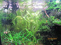 майака и эрики.jpg