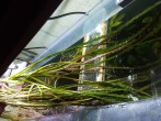 20170903_221607.jpg