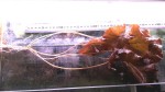 20170921_142040.jpg