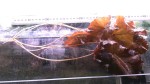 20170921_142140.jpg