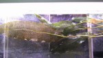 20170921_142339.jpg