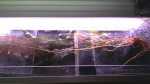 20170921_142440.jpg