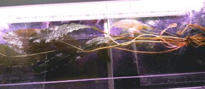 20170922_090111.jpg