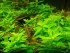 DSCN0777.JPG