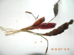 DSCN3030.JPG