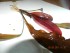 DSCN3031.JPG