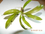 DSCN3033.JPG