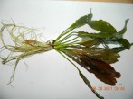 DSCN3041.JPG