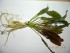 DSCN3041.JPG