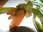 DSCN3043.JPG
