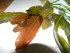 DSCN3043.JPG