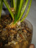 IMG-e334d45b43146b104e62b952755ebd4b-V.jpg