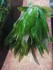 IMG_20170910_161451.jpg