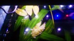 IMG_20170911_191309.jpg