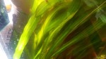 IMG_20170912_091806.jpg