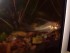 IMG_20170929_203220.jpg