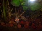 IMG_20170929_203241.jpg