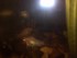 IMG_20170929_203313.jpg