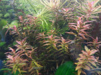 copy_165_20170903_135054.jpg