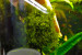 copy_25_DSC0015.jpg
