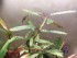 copy_463_IMG_20160923_225557.jpg