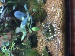 copy_547_copy_579_image-3.jpeg