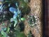 copy_547_copy_579_image-3.jpeg