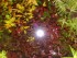 copy_671_250520171738.jpg