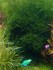 copy_72_IMG_20170910_203123.jpg