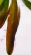 copy_807_IMG_20170916_183909.jpg