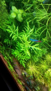 copy_841_IMG_20161222_1623321.jpg