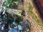 copy_898_copy_682_image-4.jpeg
