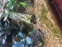 copy_898_copy_682_image-4.jpeg