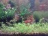 050320161467.jpg