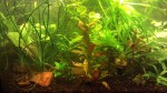 2016-01-12_20-40-09_716.jpg