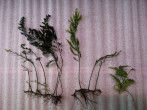 20171001_172504.jpg