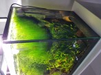 20171005_174351.jpg
