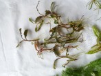 20171031_084701.jpg