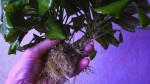 DSC01827.JPG